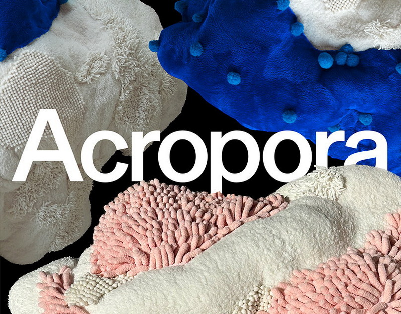 Возможную передачу Киеву ядерного оружия назвали преимуществом для Москвы